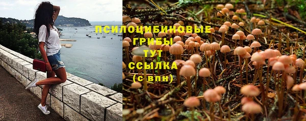 дживик Пролетарск