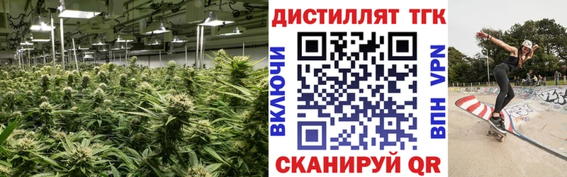 Дистиллят ТГК концентрат  hydra зеркало  Пущино  купить наркотики цена 