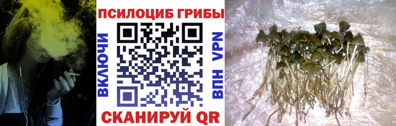 Псилоцибиновые грибы прущие грибы  где купить   Пущино 
